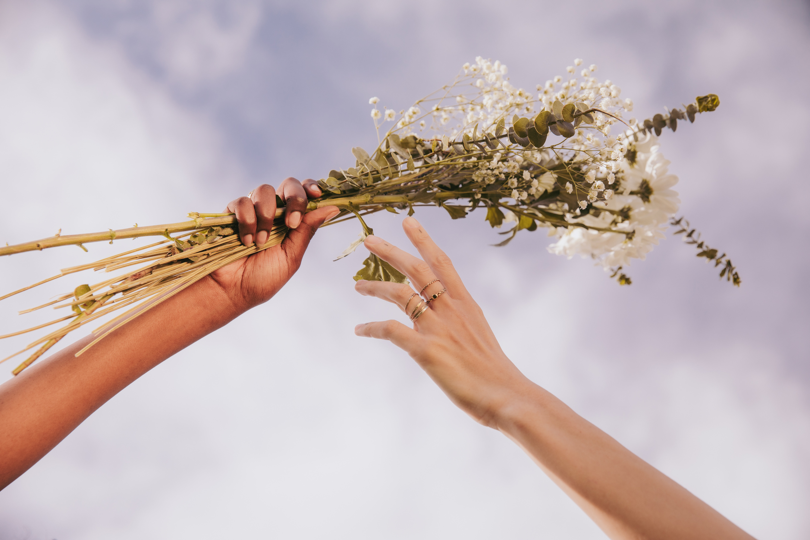 Female Hands Holding a Bouquet of Flowers